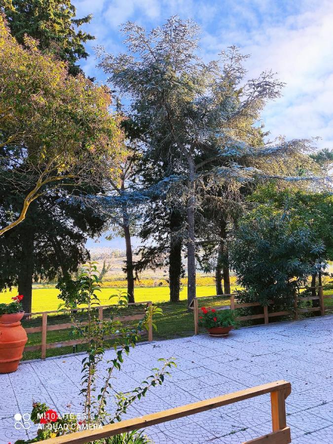 Agriturismo Pian Dell'Osa Villa Montiano  Luaran gambar