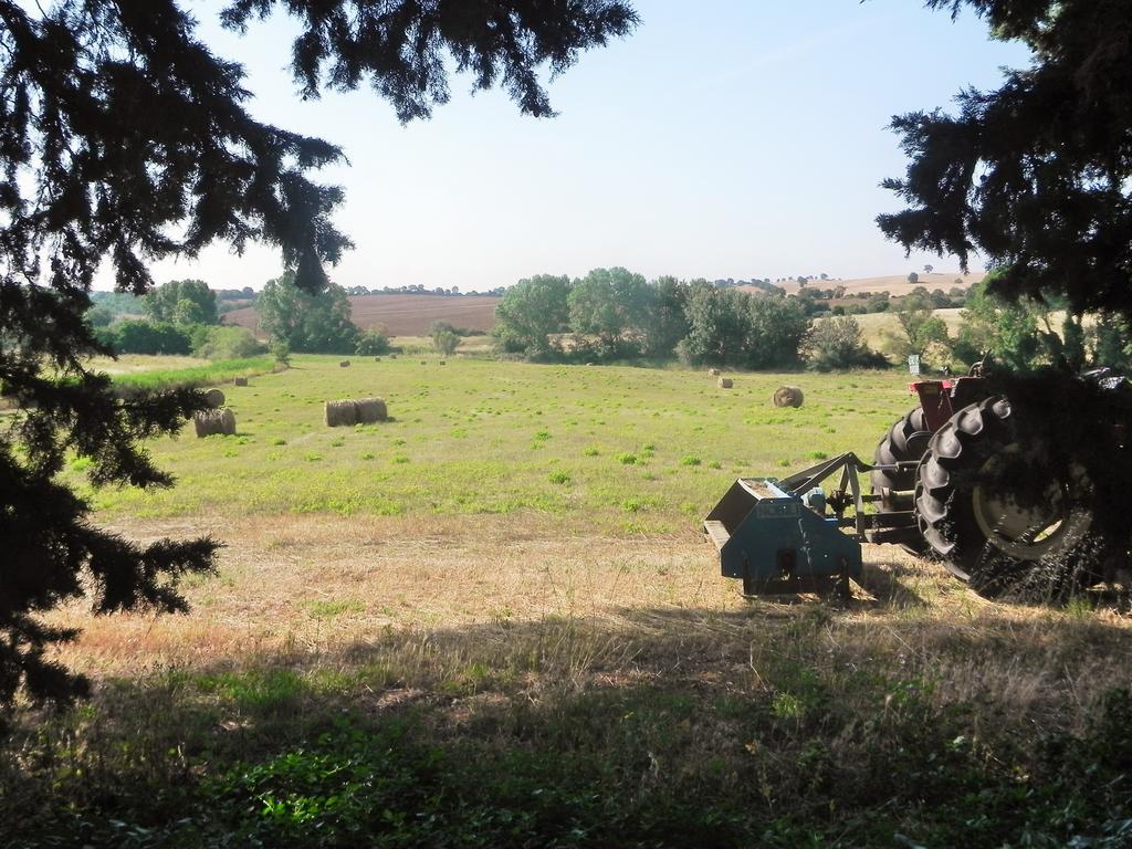 Agriturismo Pian Dell'Osa Villa Montiano  Luaran gambar
