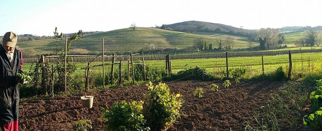 Agriturismo Pian Dell'Osa Villa Montiano  Luaran gambar